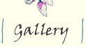 View Gallery of Recent Watercolor Paintings