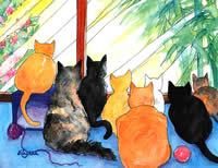 Bird Watching