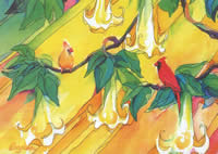 Duet