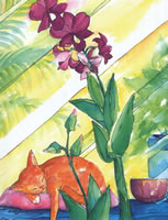 Orchid Morning