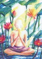 Serenity 