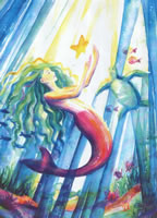 Star Catcher