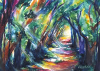 Path of Light