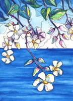 Sky Flowers